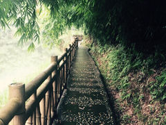 沐川竹海-沐川竹海旅游景区
