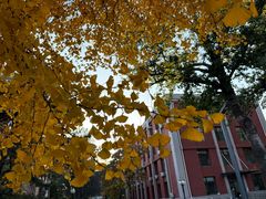 -中国农业大学(西校区)