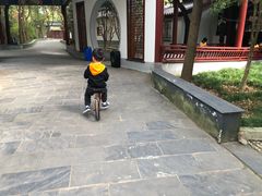 -南汇桃花村