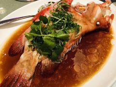 -金悦轩海鲜酒家(银河店)