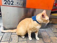 -香港华美达海景酒店