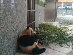 -西安秦岭野生动物园