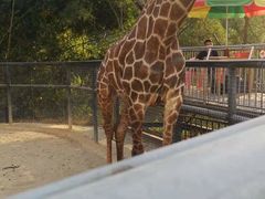 -泉州海丝野生动物世界