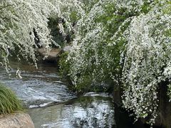 -中国茶叶博物馆(双峰馆区)