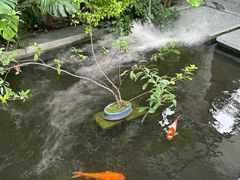 -漫笙舍Manse·咖啡·民宿
