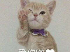 -梦想屋摄影工作室(丽原天际店)