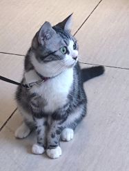 -长沙纹身·龙堂刺青·三土师傅的店