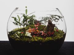 -荷兰布尔玛国际花艺学院