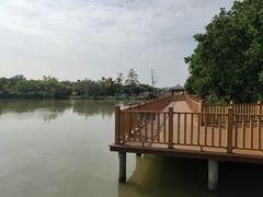 -大湾区中央湿地公园