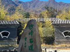 -阳台山自然风景区