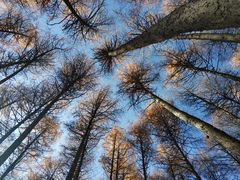 -硗碛藏寨·神木垒景区