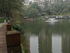 -重庆彩云湖湿地公园
