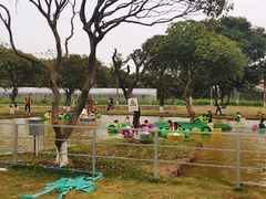 -长洲岛都市农业公园