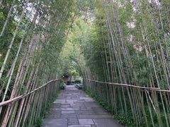 -新荣记(西溪湿地店)