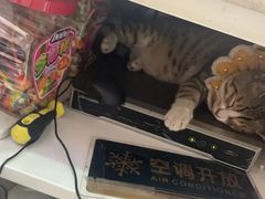-遇见小面(碧桂园总部店)
