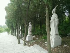 -原山国家森林公园