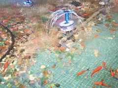 -水晶之星洗浴温泉汗蒸