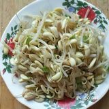 超级奥特曼的小怪兽大作战之凉拌豆芽