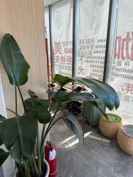 -酉嘉瑜伽YO+YOGA