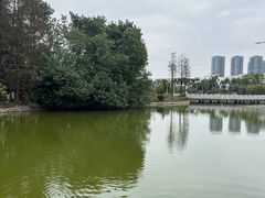 -顺德职业技术大学