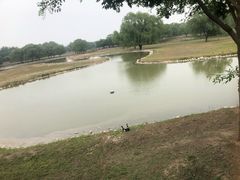 -北京麋鹿生态实验中心