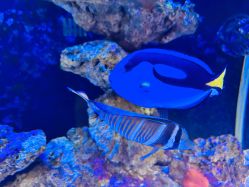 -Zoolung Zoolung动物主题公园(海信广场店)