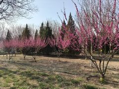 -永定河休闲森林公园