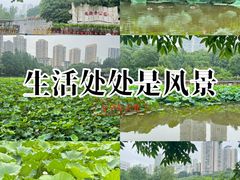 -龙头寺公园