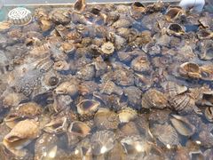 -集品鲜湾·蒸汽海鲜自助料理(青岛银座和谐广场店)