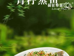 -荷花泰菜(东方新天地店)