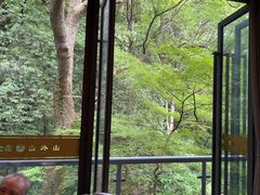 -山外山菜馆(玉泉路店)