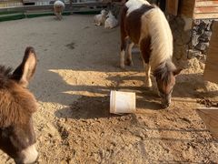 -HERRE·FARM 赫尔露营农场·团建聚会包场