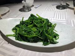 清炒豌豆尖-渝信川菜(西单店)