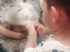 -藦茜花园宠物主题亲子互动体验馆(国顺东路店)