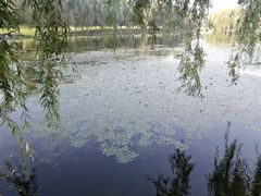 -东坝千亩湖公园