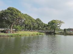 -水岸居湖景农家乐·阳澄湖大闸蟹