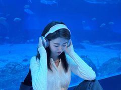 -南昌融创海世界
