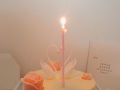 -BLACKSWAN黑天鹅(环球店)