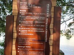 -大湾区中央湿地公园