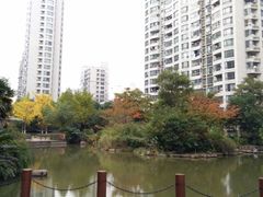 -新湖明珠城