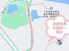 -王借岗森林公园