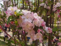 -元大都城垣遗址公园