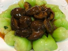 -茂港柏香(侨港路店)