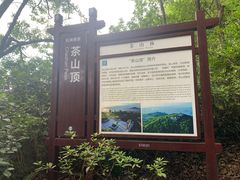 -东莞市大岭山森林公园