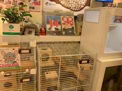 -龙猫仔乐园(惠福东路店)