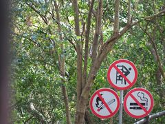 -上海佘山国家森林公园天马山园