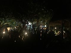 -乌托邦酒吧和餐厅