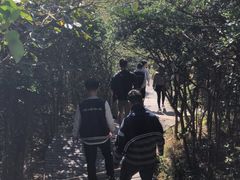 -六合朝阳景区-和尚套