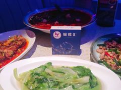 -蝴蝶汇音乐酒馆(罗湖店)