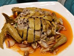 -石岐乳鸽村(南海第三分店)